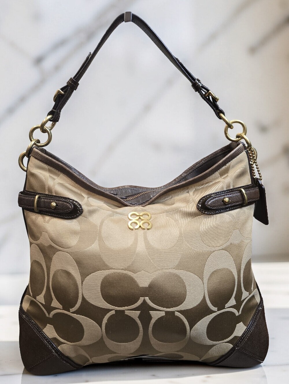 Coach Colette Signature Sateen Hobo Bag With Python Snakeskin Trim